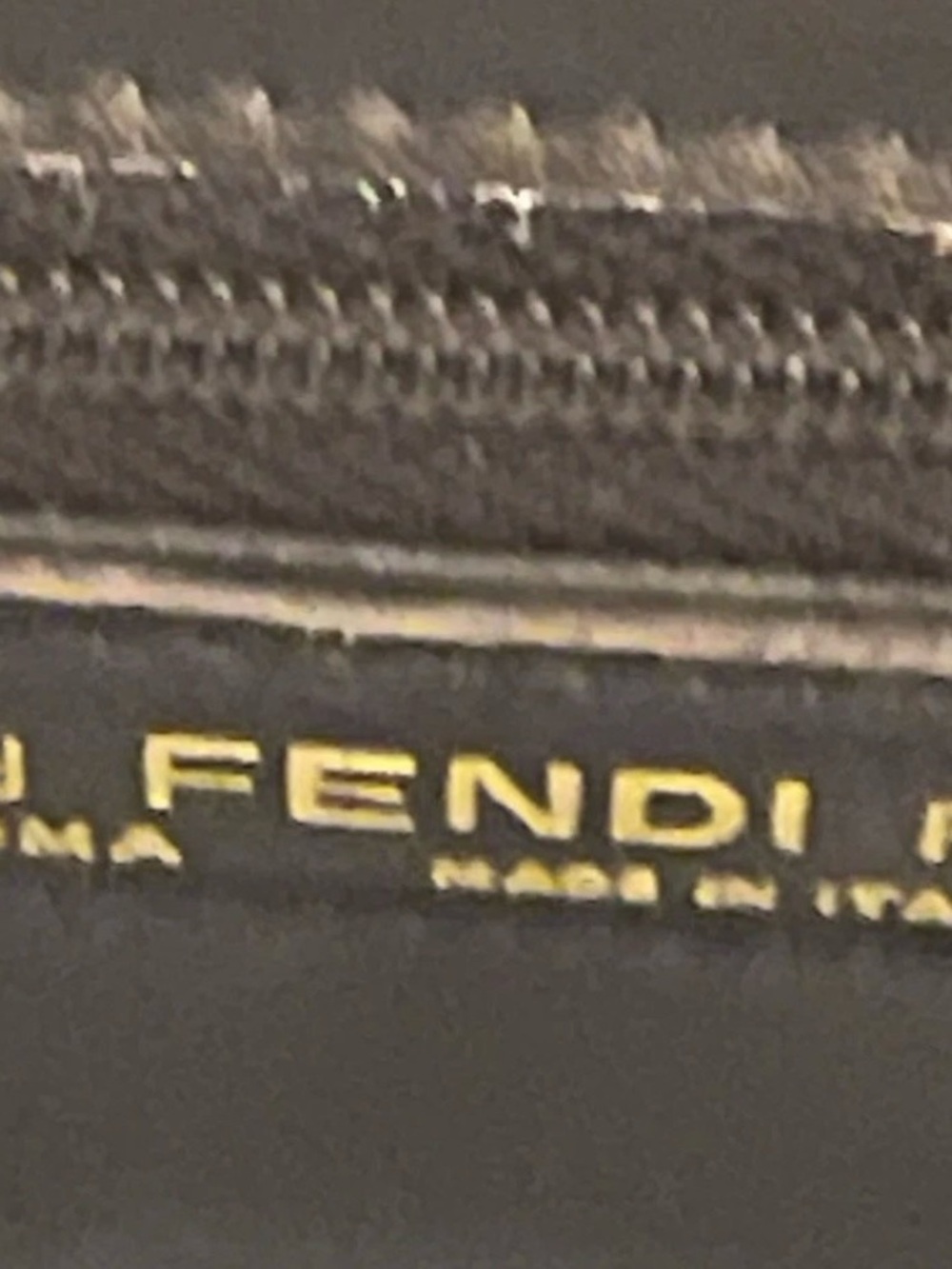 Fendi Exotic Crocodile Bag - Picture 5 of 9